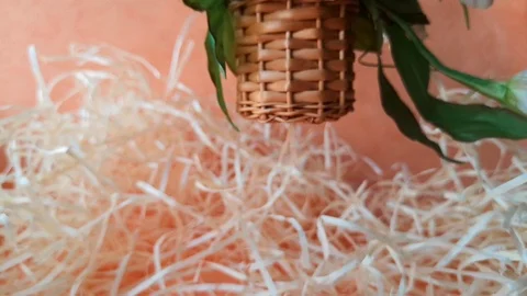 Easter basket with egg and flowers among straw Stock Footage 104589603
