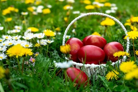 Easter basket with eggs on spring field Stock Photos
