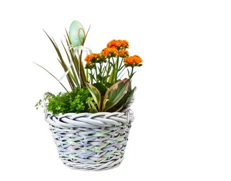 Easter basket with flowers Stock Photos