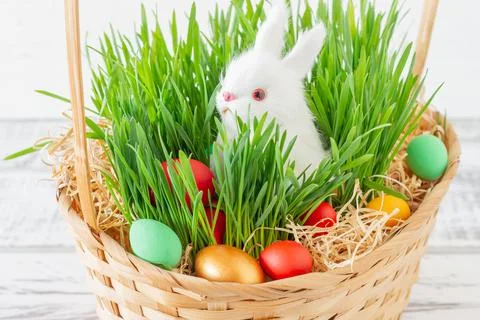Easter basket with green grass filled with brightly colored Easter eggs and.. Stock Photos