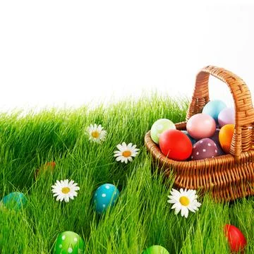 Easter basket on meadow Foto stock