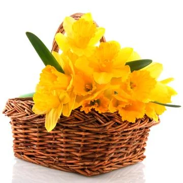 Easter basket Foto stock