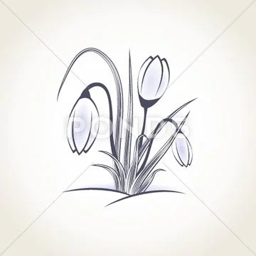 Easter beautiful crocus in snow and ice closeup Stock Illustration
