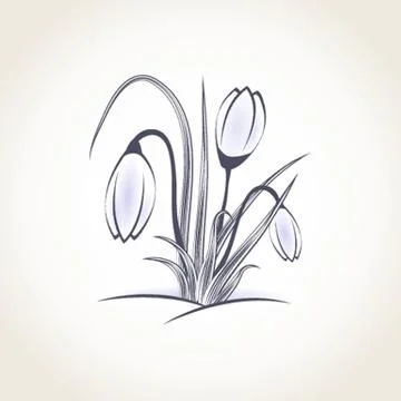 Easter beautiful crocus in snow and ice closeup Stock Illustration
