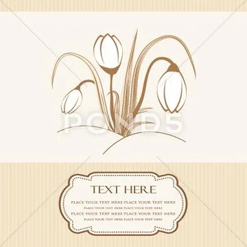 Easter beautiful crocus in snow and ice closeup Stock Illustration