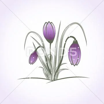 Easter beautiful crocus in snow and ice closeup Stock Illustration