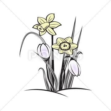 Easter beautiful crocus in snow and ice closeup Stock Illustration
