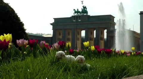 Easter in Berlin Stock Footage 58841939