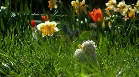 Easter in Berlin Stock Footage 58863010