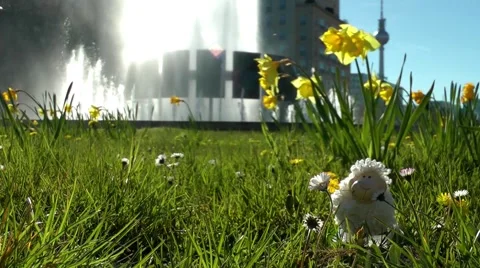 Easter in Berlin Stock Footage 58863234