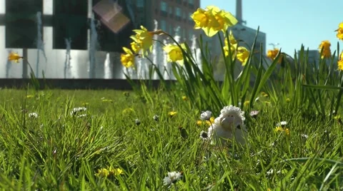 Easter in Berlin Stock Footage 58863300