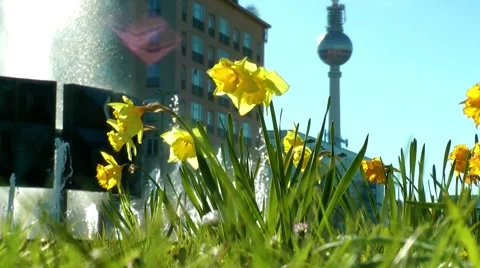 Easter in Berlin Stock Footage 58863411