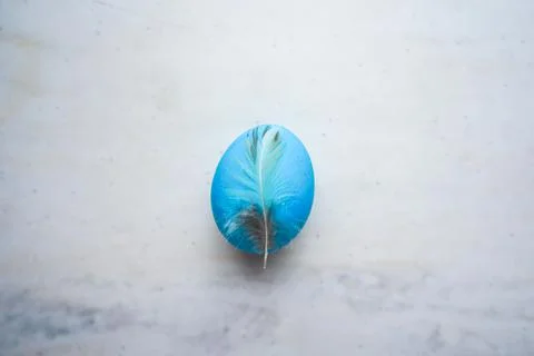 Easter blue egg with feather Stock Photos