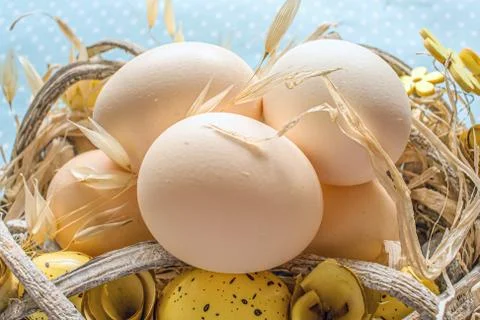 Easter on blue Stock Photos