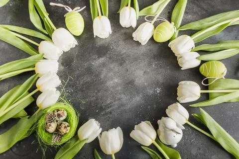 Easter. Border of white tulips, eggs, nest on gray. Top view with copy space. Foto stock
