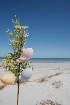 Easter branch on left with empty beach background on sunny day with copy space Stock Photos