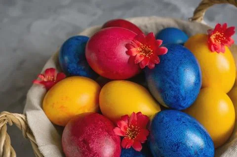 Easter bright colored eggs in the easter egg basket. Festive Easter multico.. Stock Photos