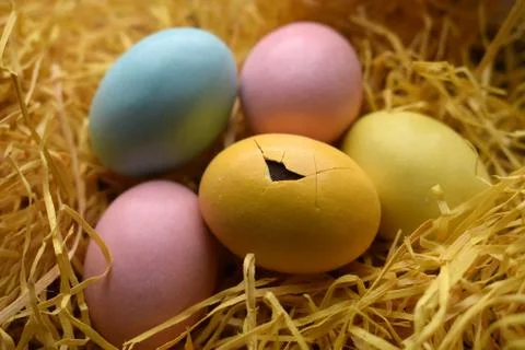 Easter broken egg on straw Stock Photos