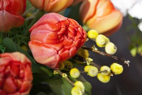 Easter brush Stock Photos