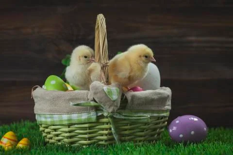 Easter bucket with eggs, young easter chickens around Foto stock
