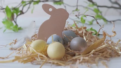 Easter bunnies and Easter eggs Stock Footage 150124423