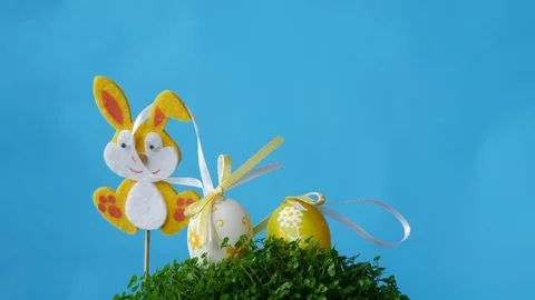 The Easter bunnies looking for Easter eggs. Stock Footage 87999325