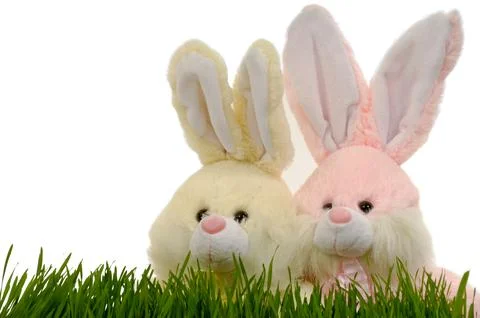 Easter bunnies Stock Photos