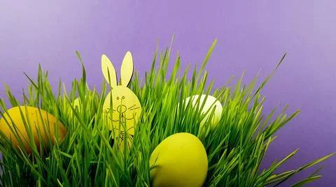 Easter bunny and colored decorated eggs on green real grass on a light backgr Stock Photos