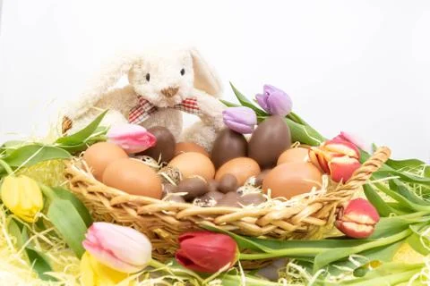 Easter bunny and different eggs and tulips Stock Photos
