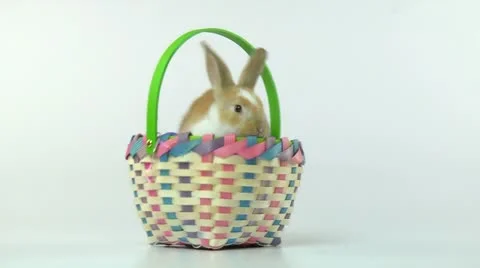 Easter Bunny and Easter Basket Stock Footage 10901142