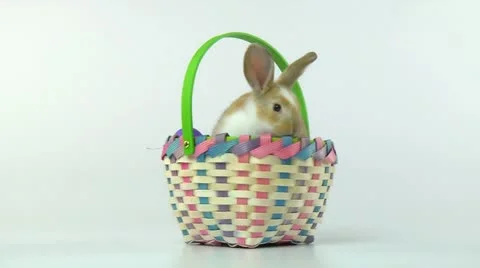 Easter Bunny and Easter Basket Stock Footage 10901177