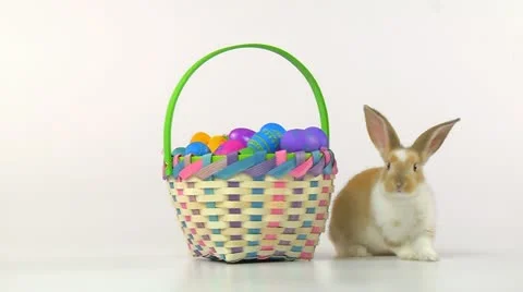 Easter Bunny and Easter Basket Stock Footage 10901212