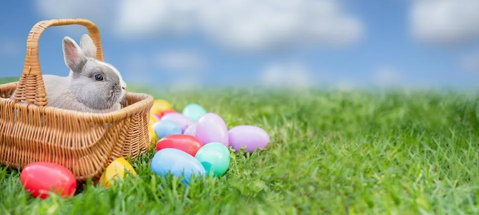 Easter bunny and Easter eggs on spring green grass. Cute rabbit Stock Photos