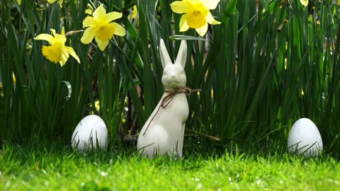 Easter bunny and egg in the daffodil flowers garden, nature background Stock Footage 237630659