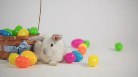 Easter bunny with basket and eggs Stock Footage 32707178