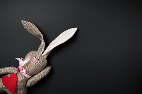 Easter bunny on a black background Stock Photos