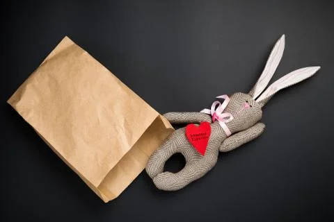 Easter bunny on a black background Stock Photos