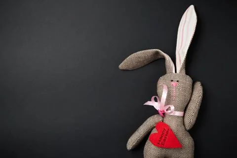 Easter bunny on a black background Stock Photos