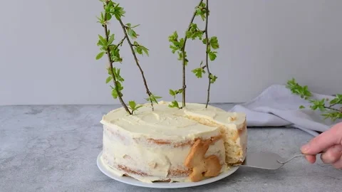 Easter Bunny Cake. Happy easter Stock Footage 238442979