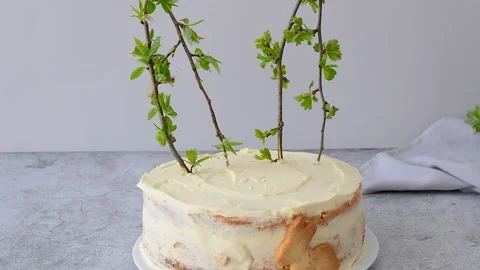 Easter Bunny Cake. Happy easter Stock Footage 238442997