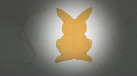 Easter bunny cookie Stock Footage 22636485