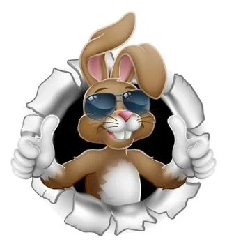 Easter Bunny Cool Thumbs Up Rabbit in Sunglasses Stock Illustration