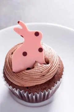 Easter bunny cupcake Stock Photos