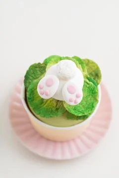 Easter bunny cupcake Stock Photos