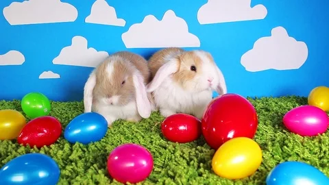 Easter bunny cute rabbit with eggs. Egg rabbits colorful background. Stock Footage 96541015