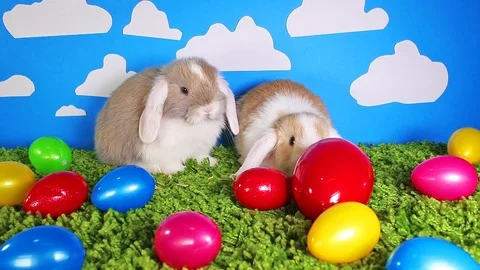 Easter bunny cute rabbit with eggs. Egg rabbits colorful background. Stock Footage 96553820