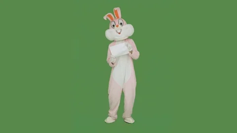Easter Bunny dances on chroma key, green screen. Easter rabbit holds shows blank Video stock 126698506