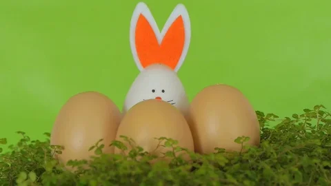 Easter bunny, with decorative eggs. Spring And Easter Background. Stock Footage 74107915