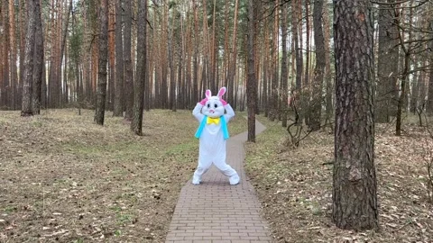 Easter Bunny Does Morning Exercises Stock Footage 305410766