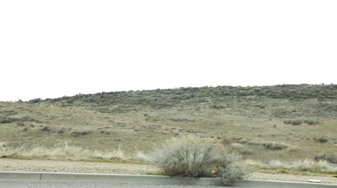 Easter bunny driving car Stock-Footage 61665181